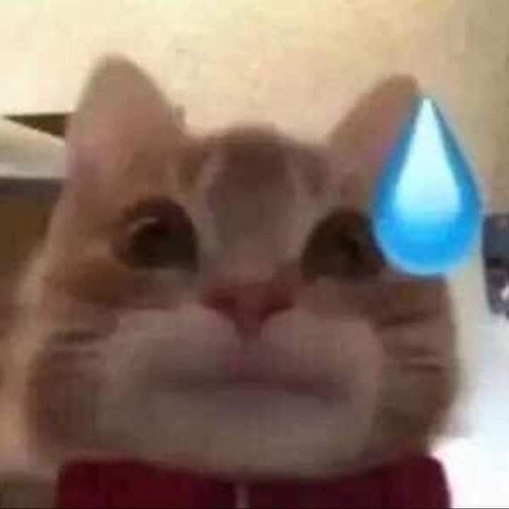 Lama Alhusayni­ ­ ­ ­ ­