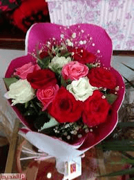 نوره الحارثي