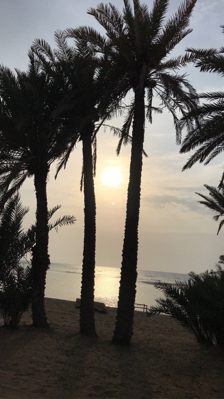 فهد العنزي