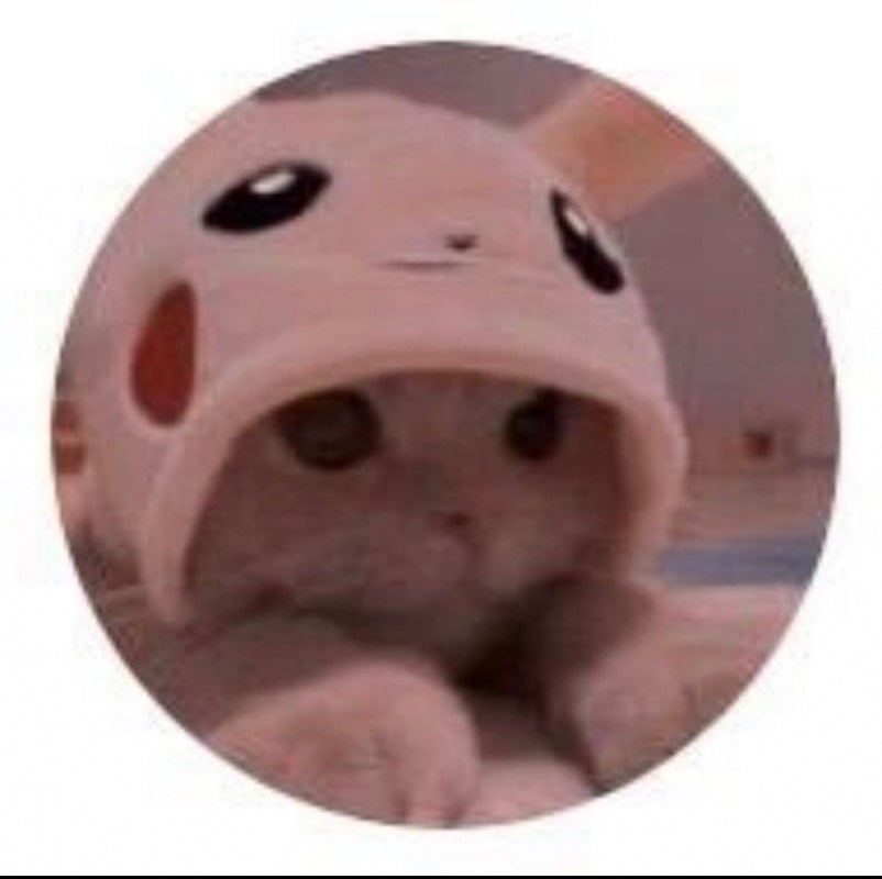 إيلاف النافعي