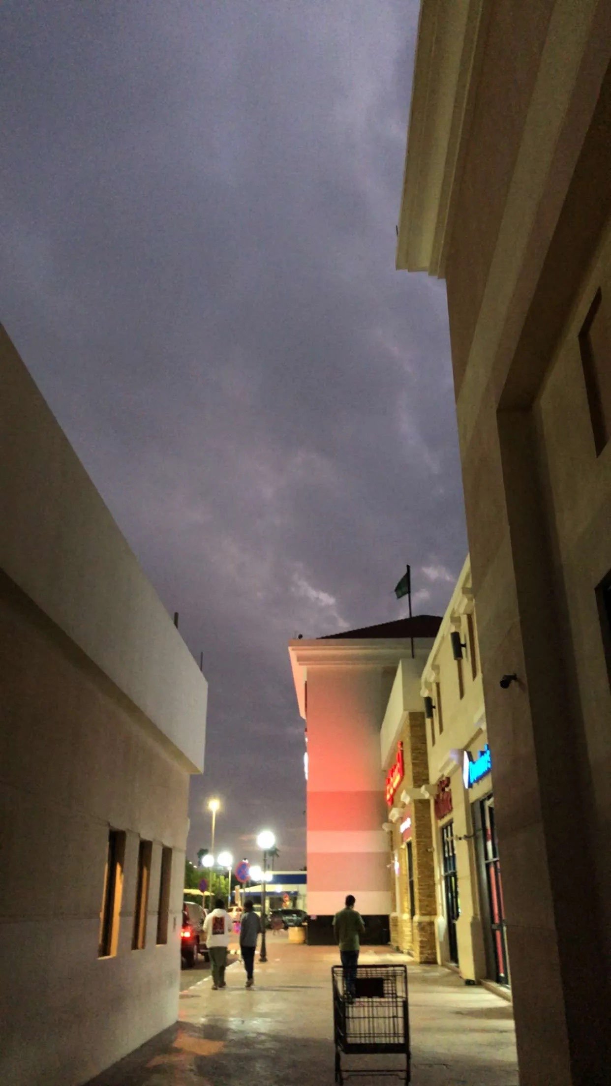 محمد الزهراني