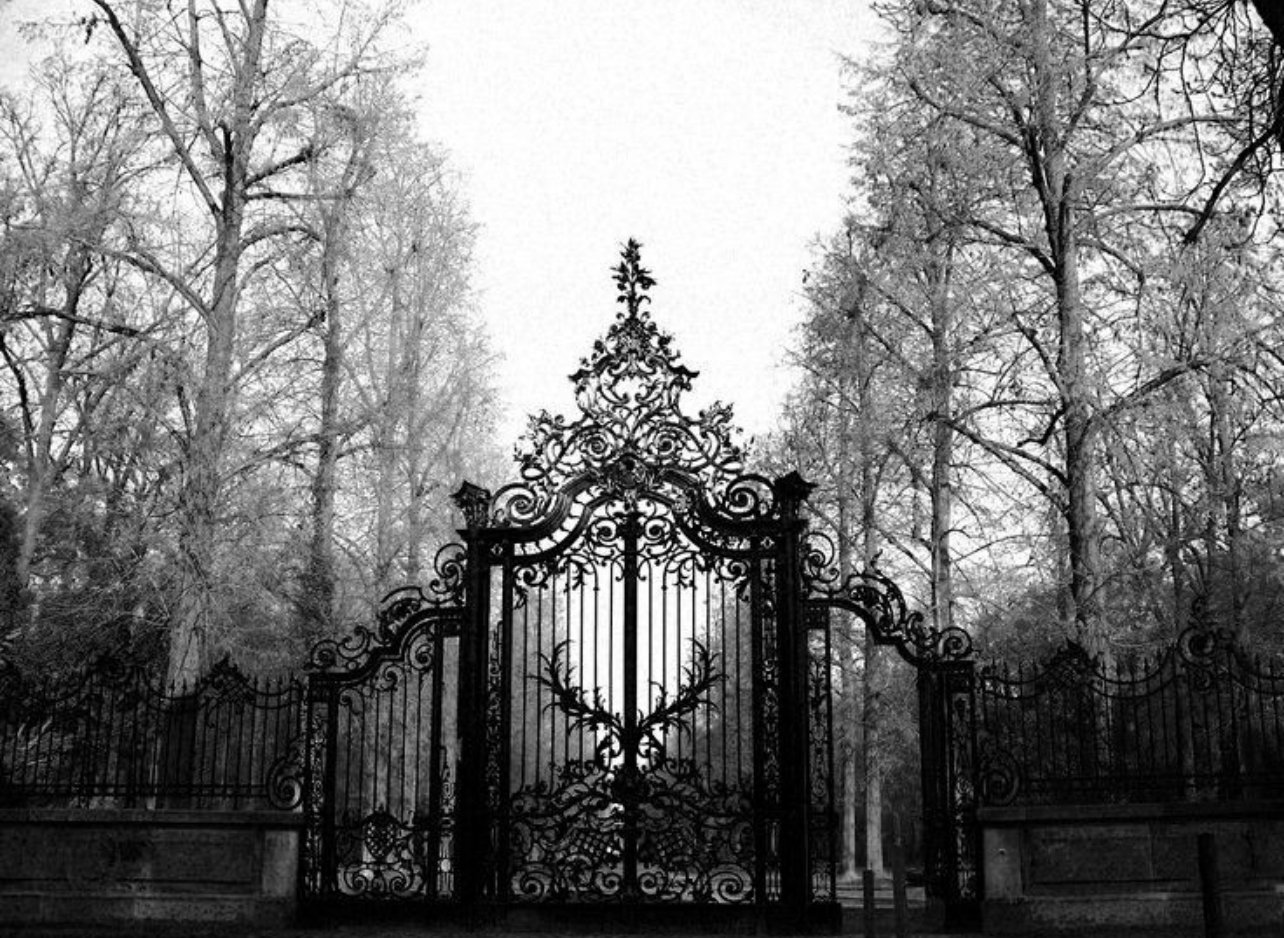 ميساء الأكلبي