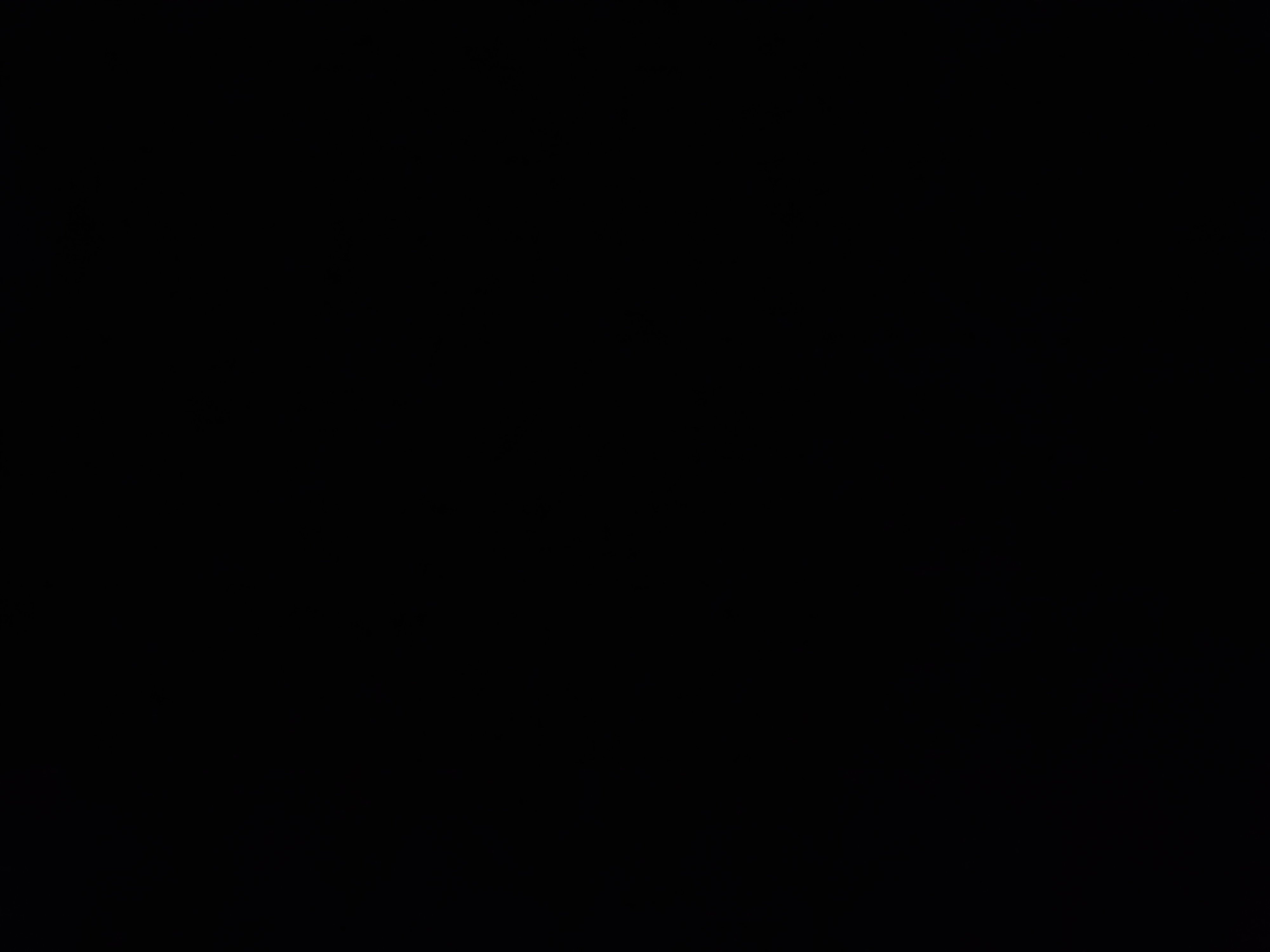 راكان كليس