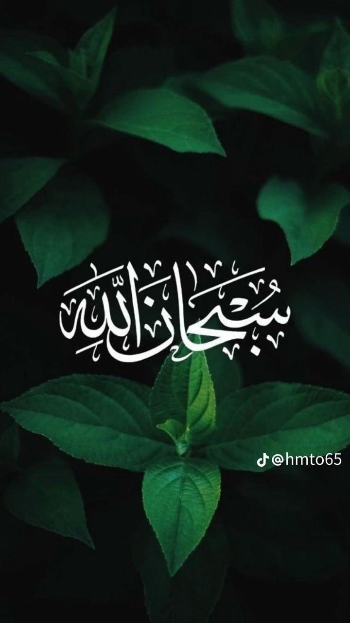 Mona alharbi