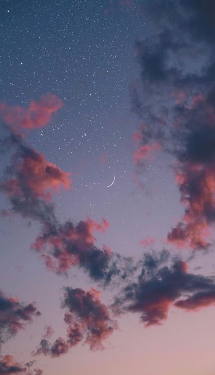 ناد 02