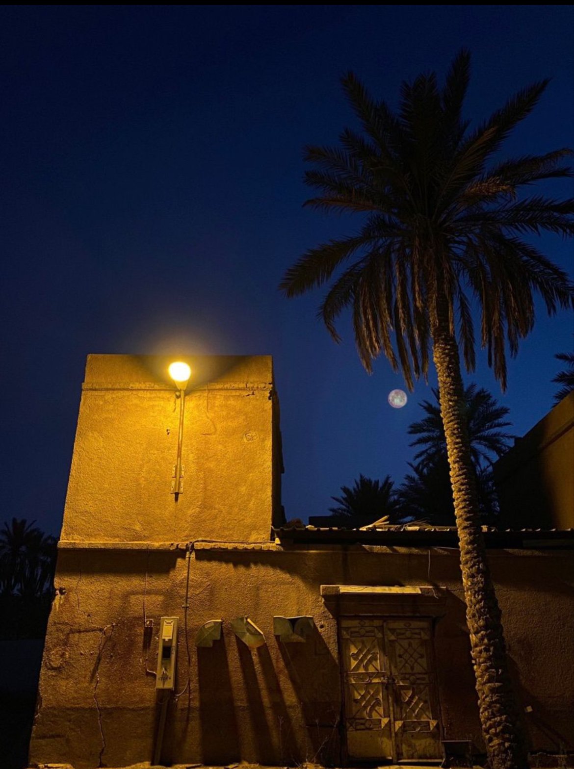 محمد الشمري