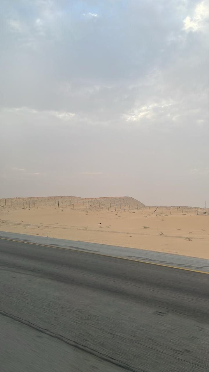 احمد قاضي