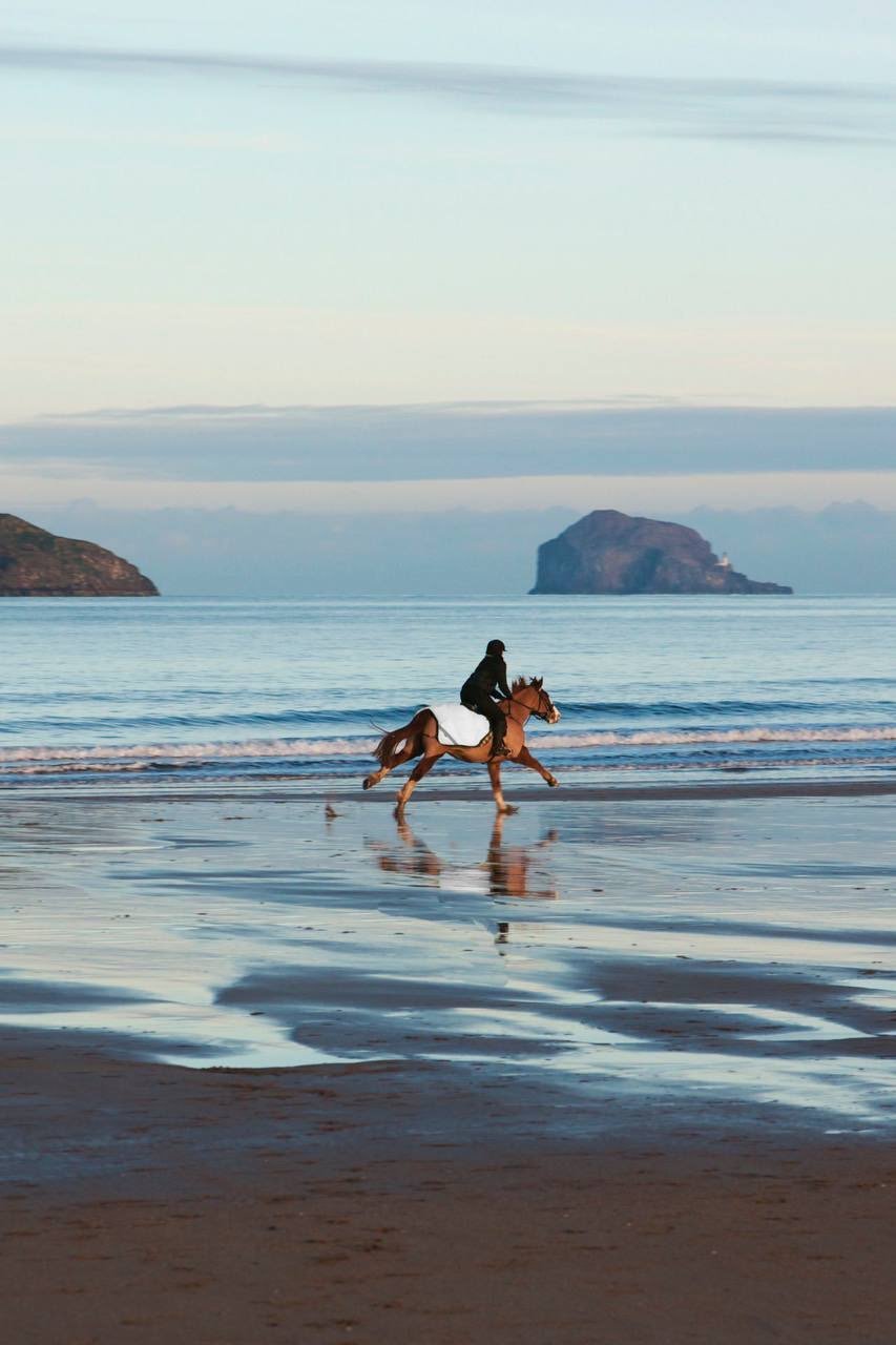 محمد الغامدي