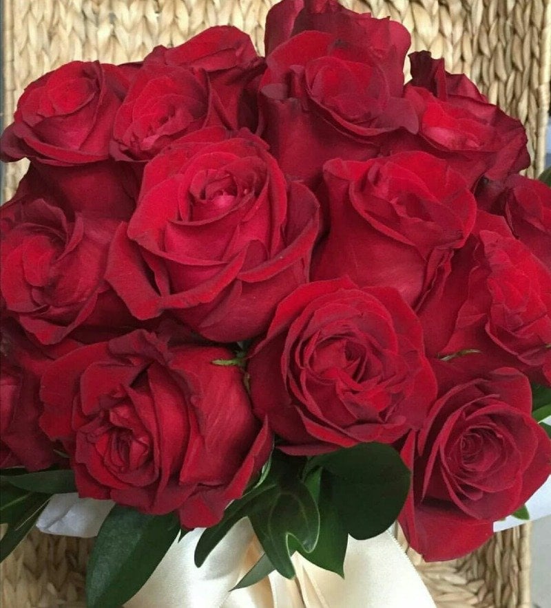 عائشة الحربي