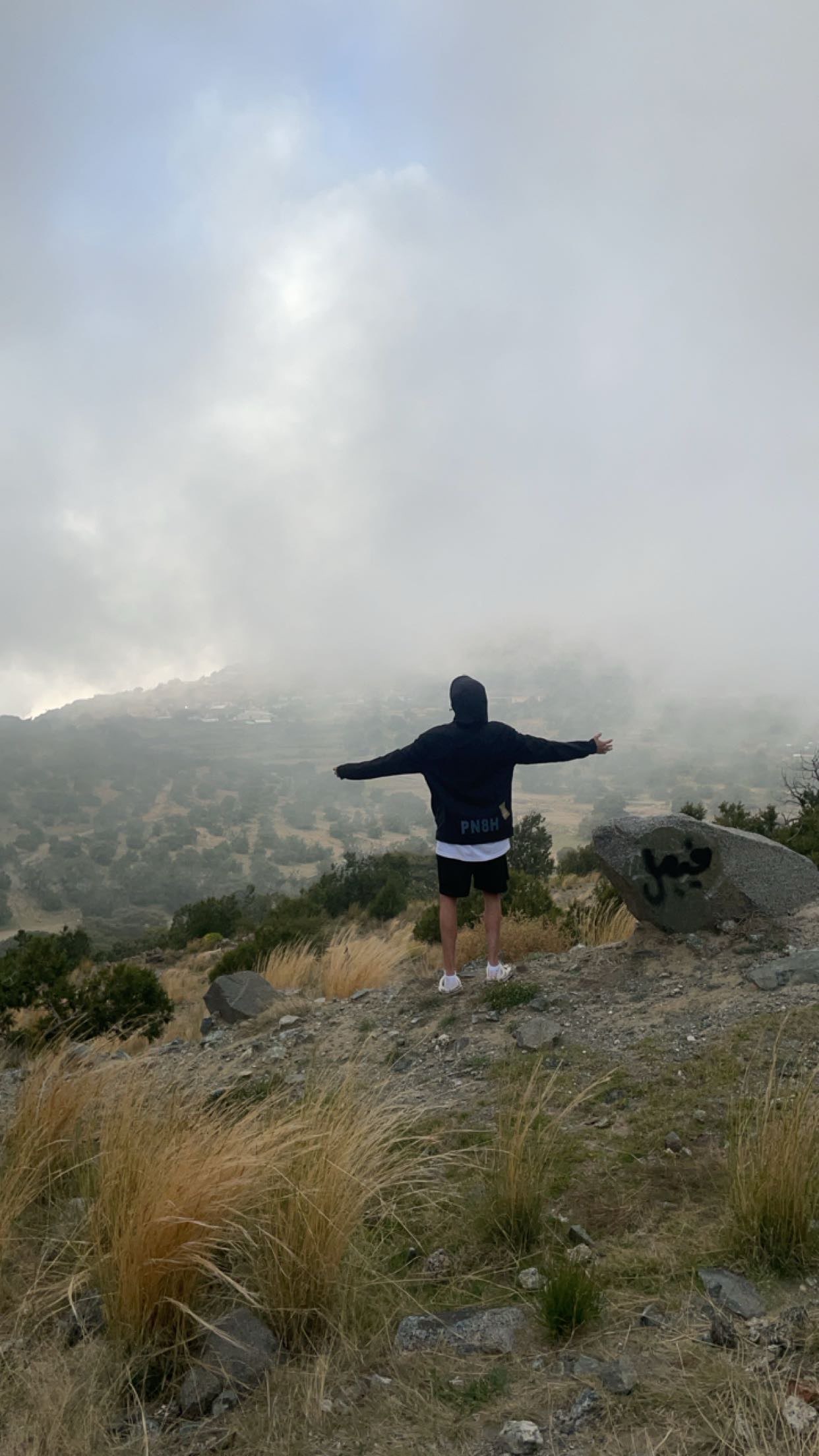 هتان الشلبي