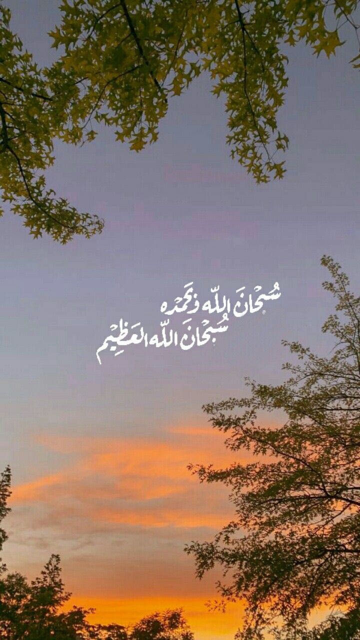 ام عبدالملك العنزي