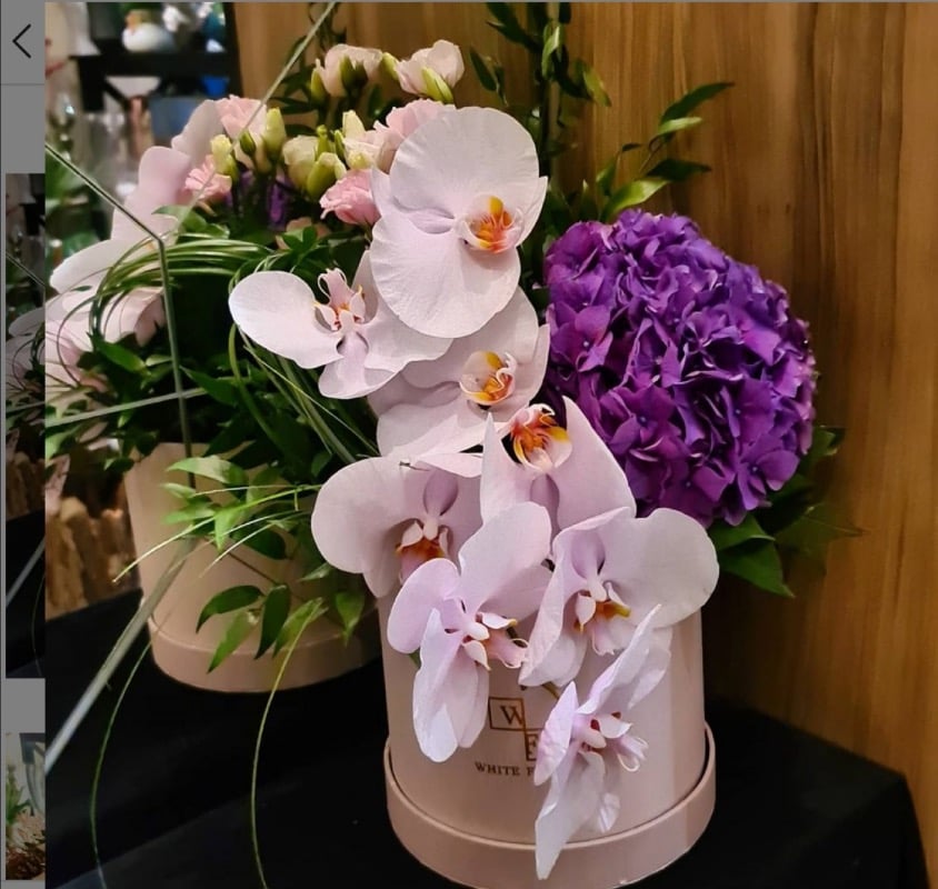 أم علي العبد المحسن