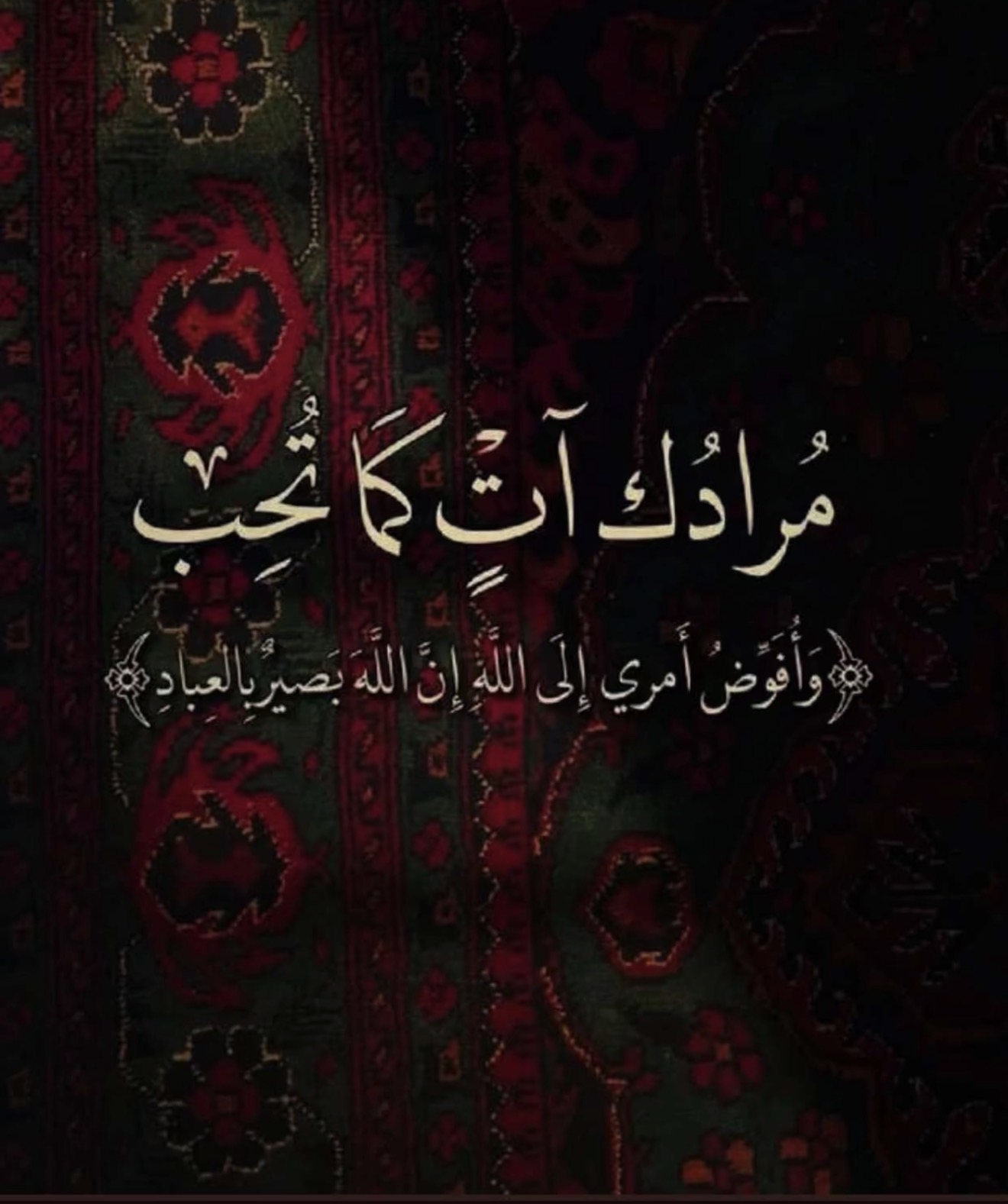 تهاني المولد