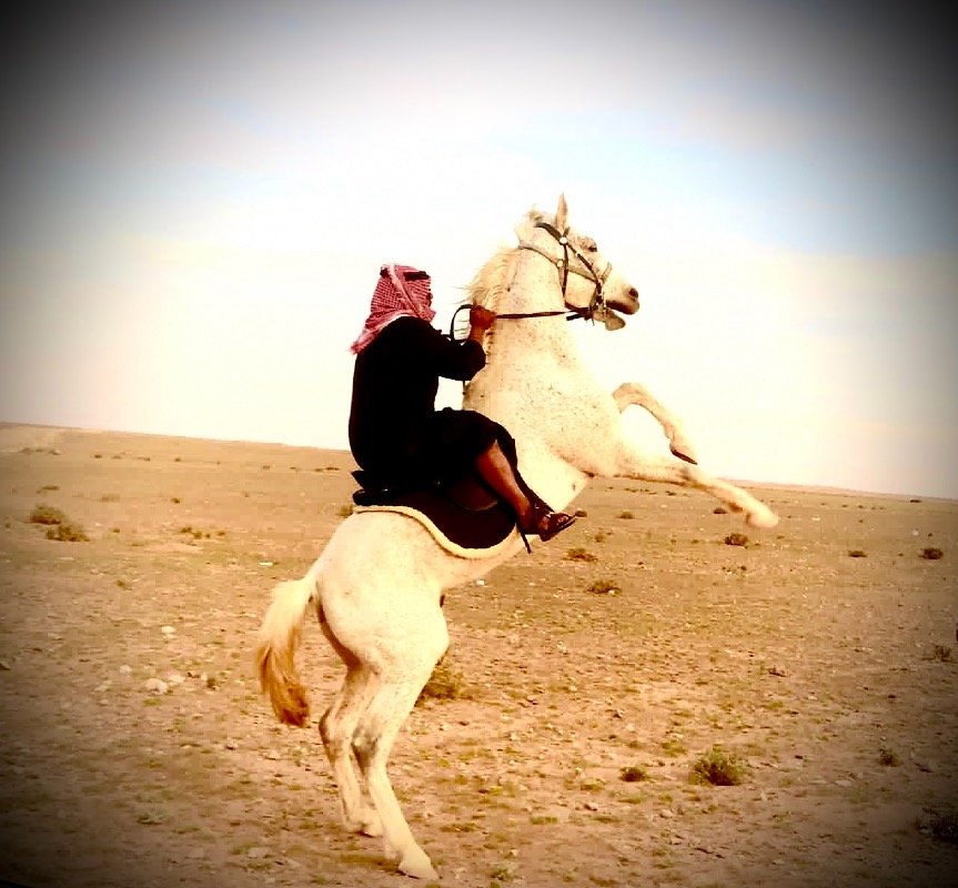 بندر الحازمي