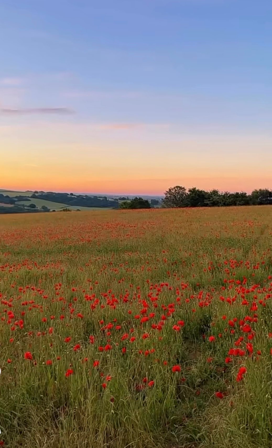 شرعاء القحطاني