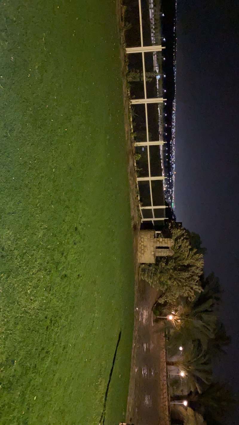 عبدالله الشلاحي