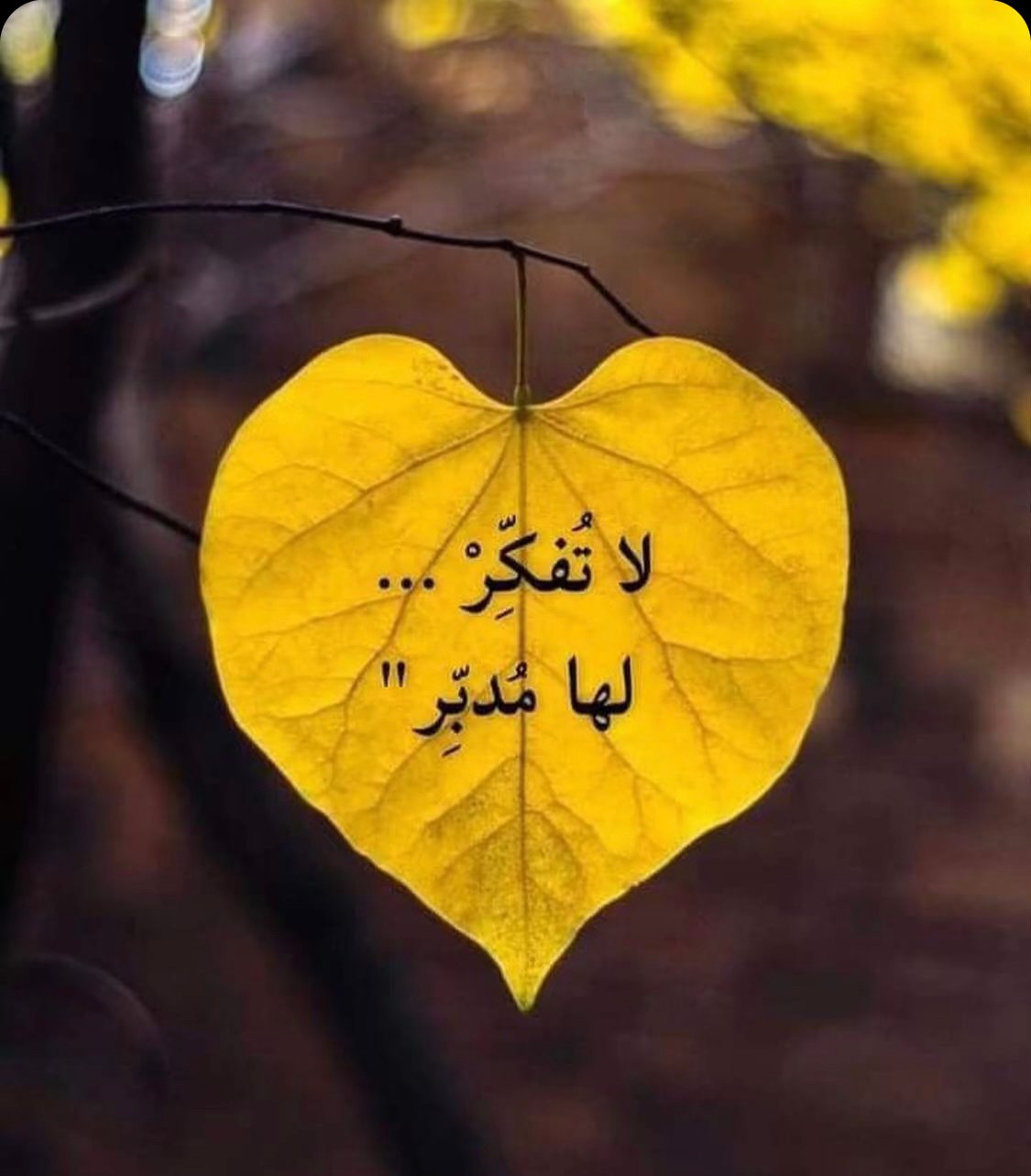 أم عبدالله وسلمان منيرة المنصور