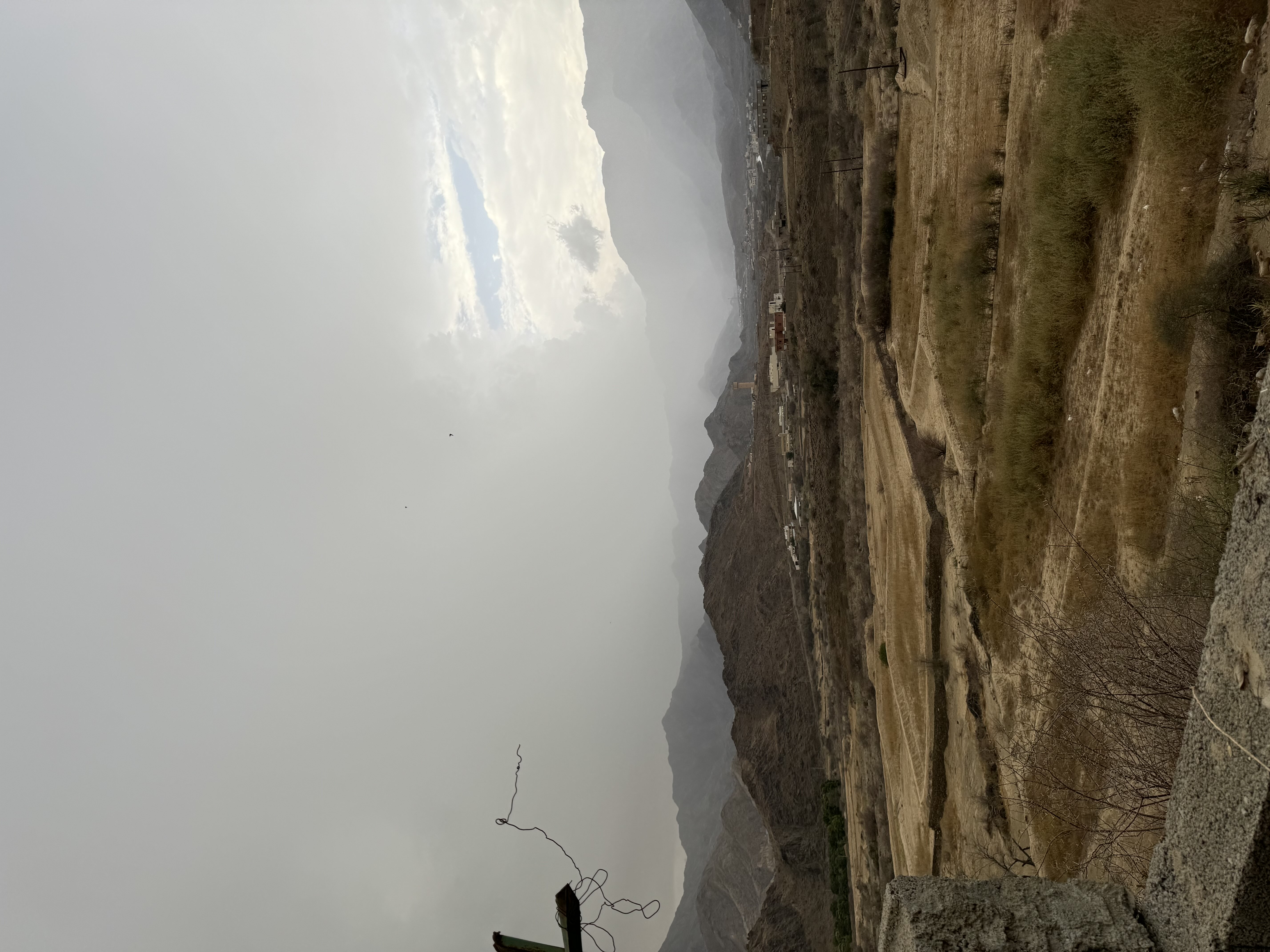 علي الزهراني