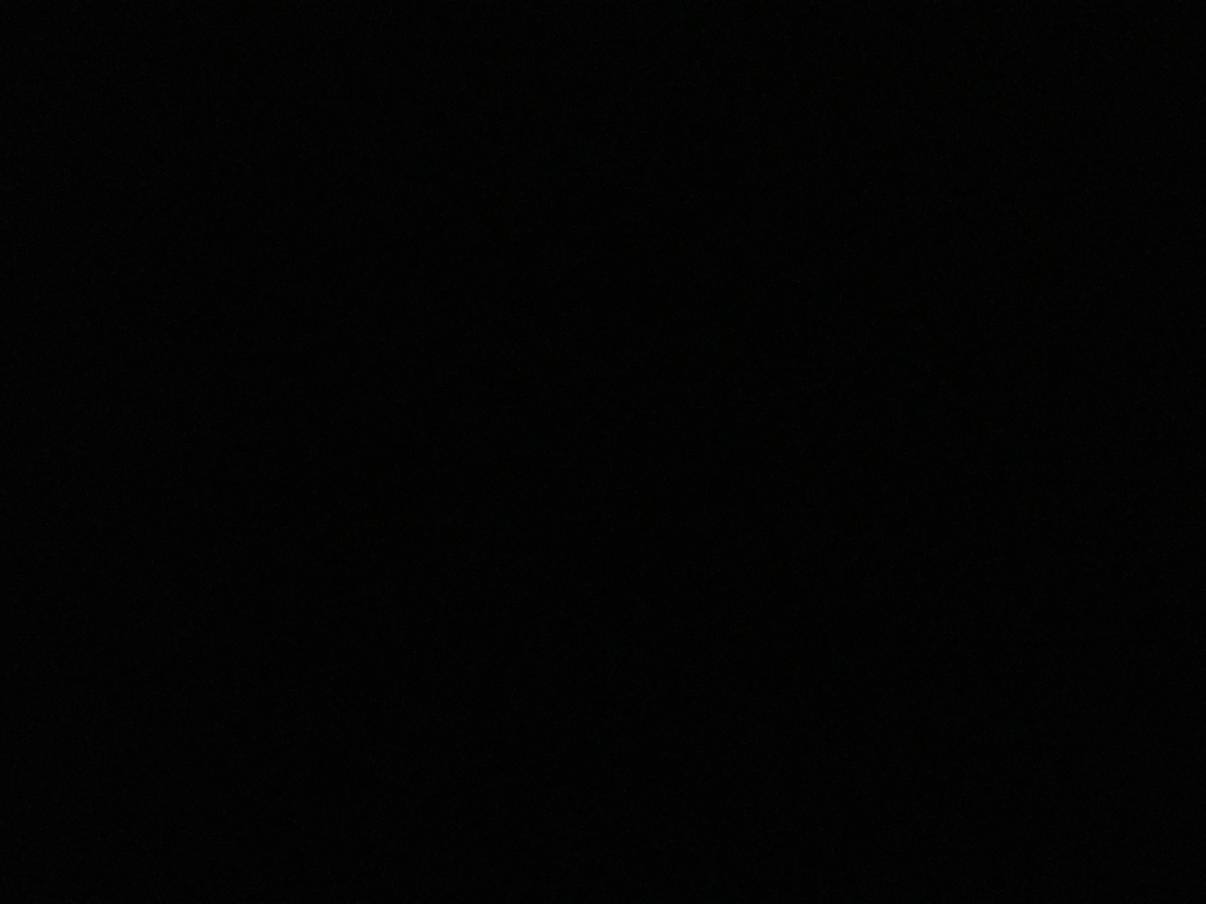 نواف الزهراني