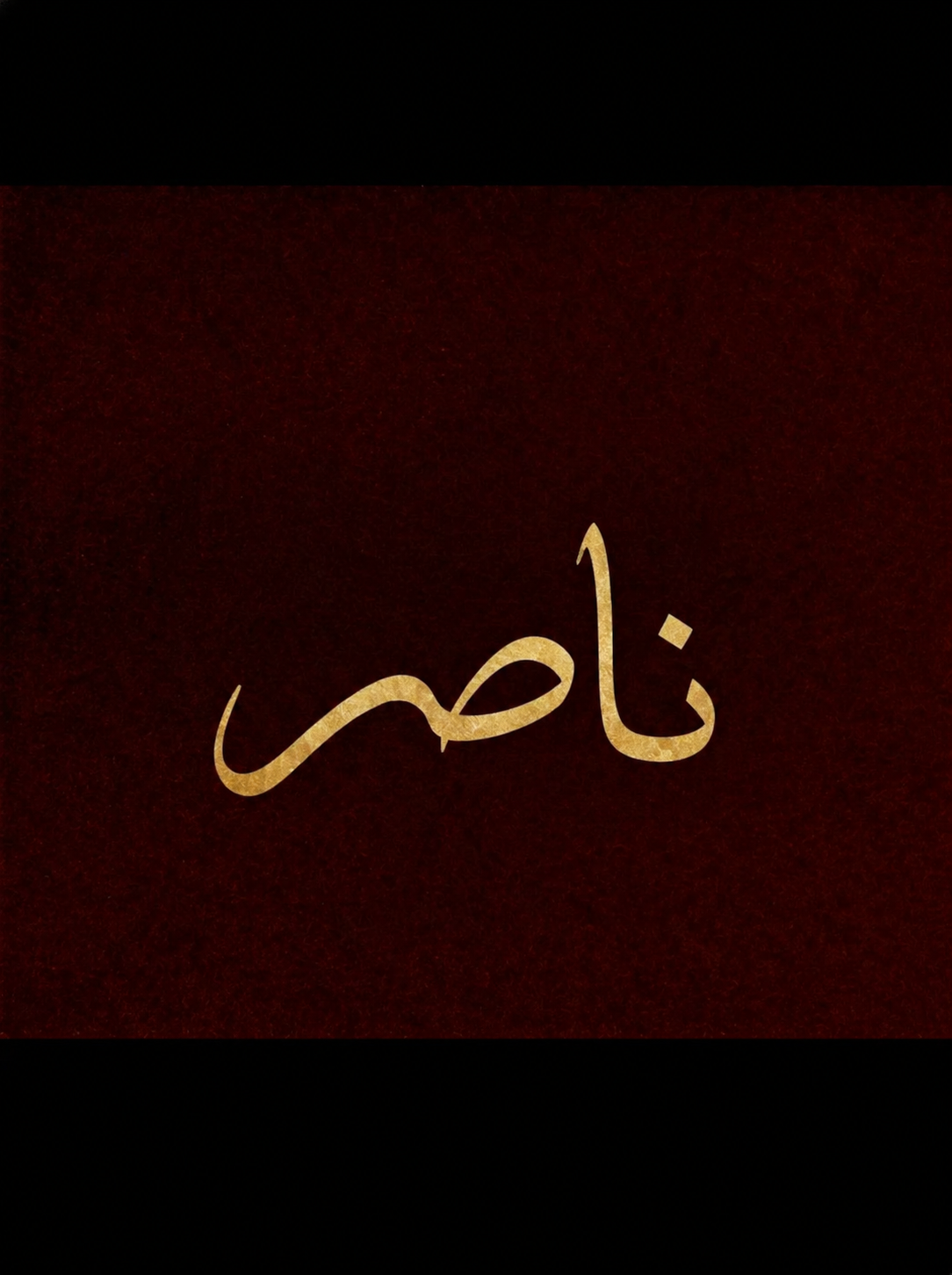 Nasser Al-sayed