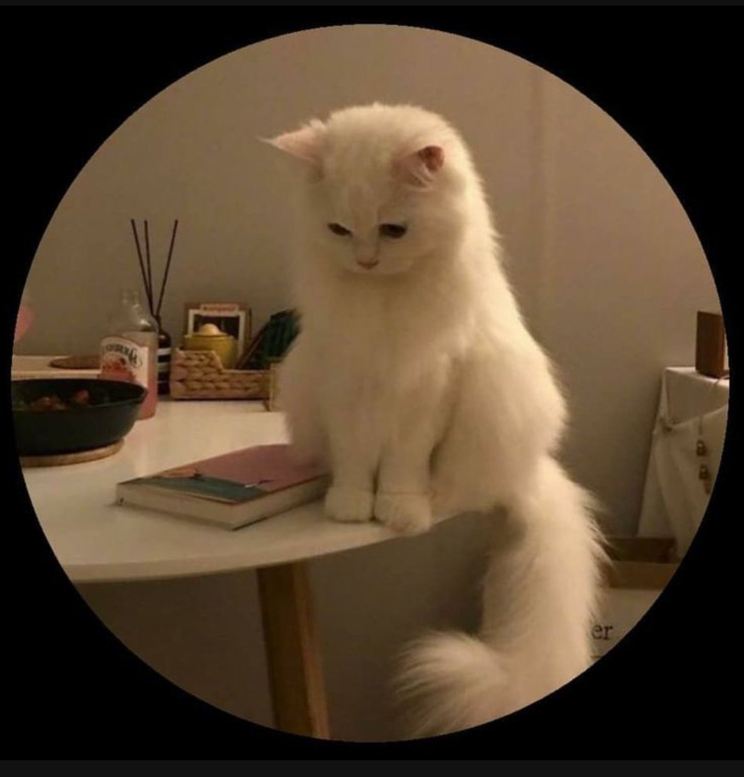 author avatar