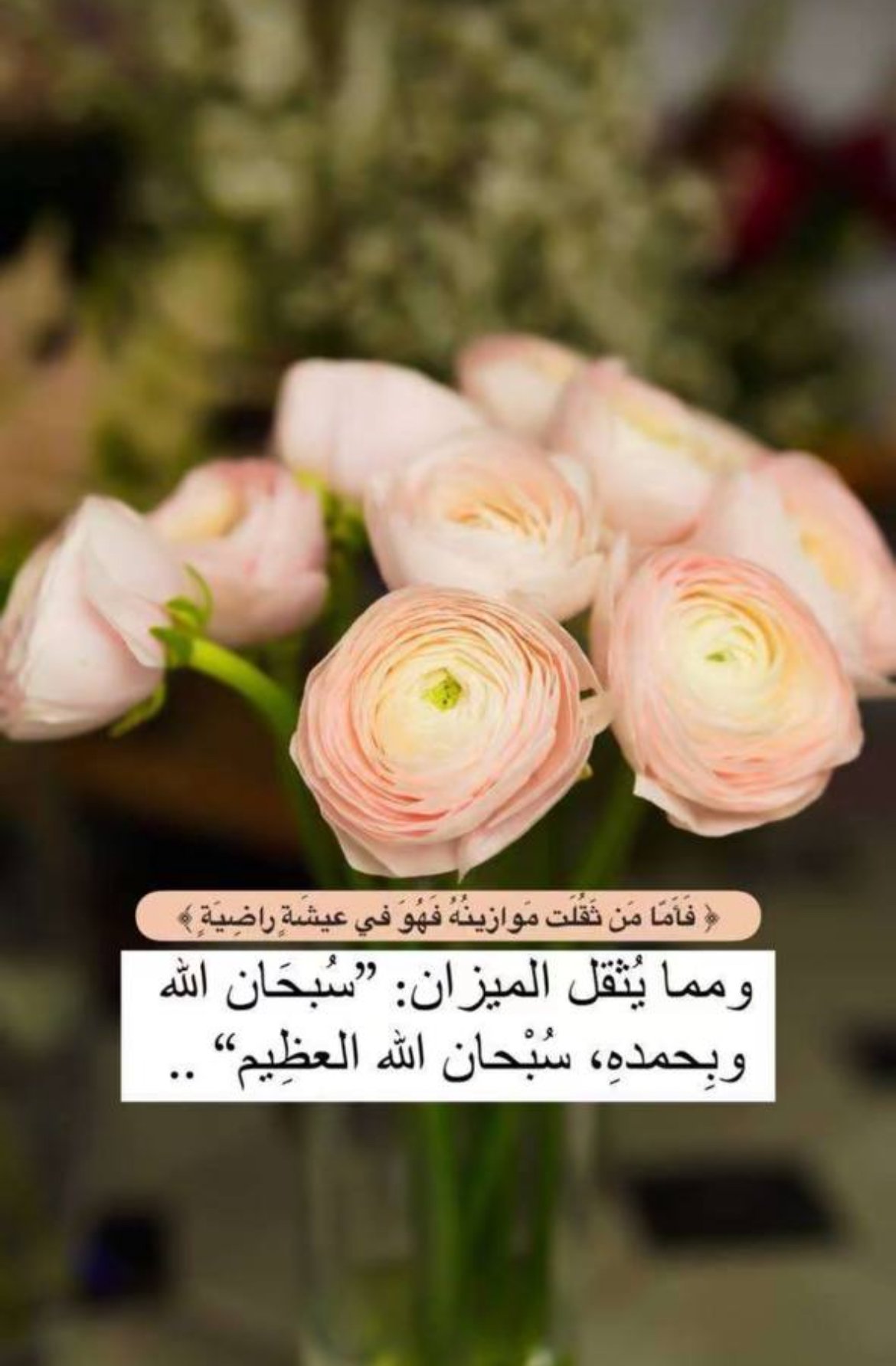 همس الغامدي