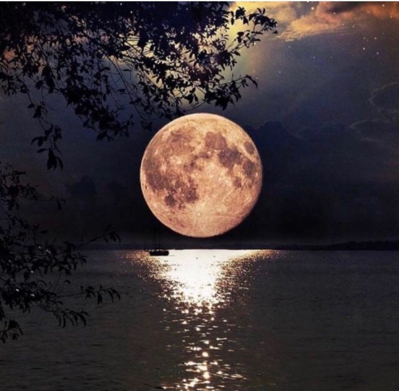 أم خالد الغامدي