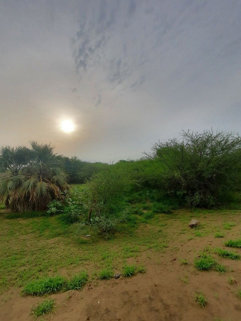 محمد غزواني