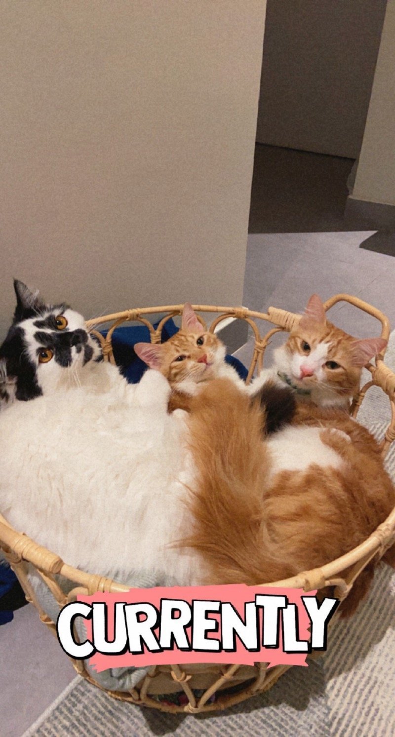 لينه القحطاني