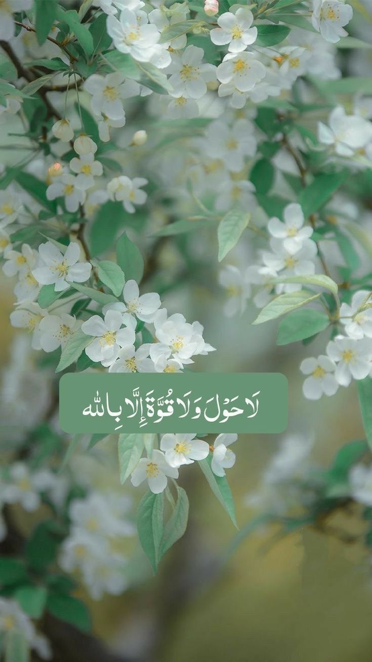 فاطمة الغامدي