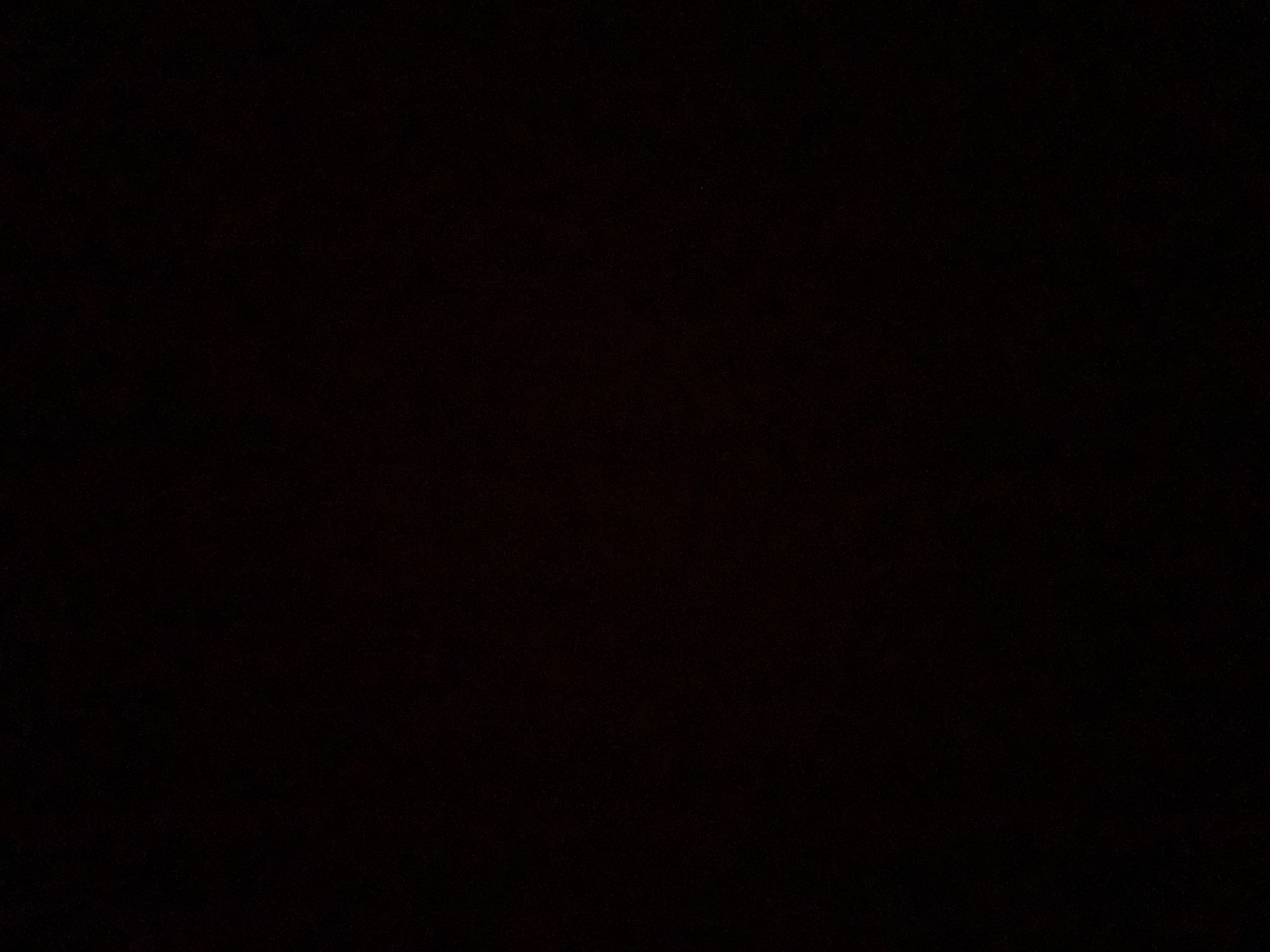 امنه البارقي