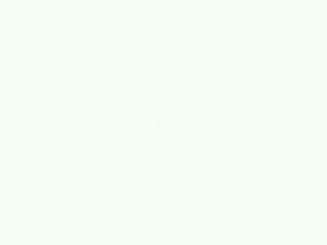 فيصل العتيبي