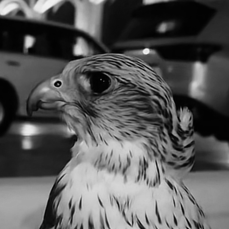 محمد الدوسري