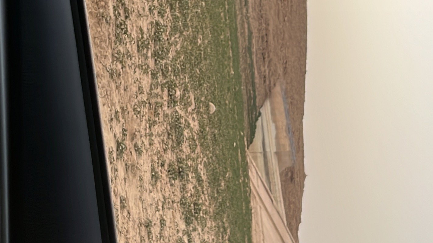 عبدالحميد عبدالرحمن