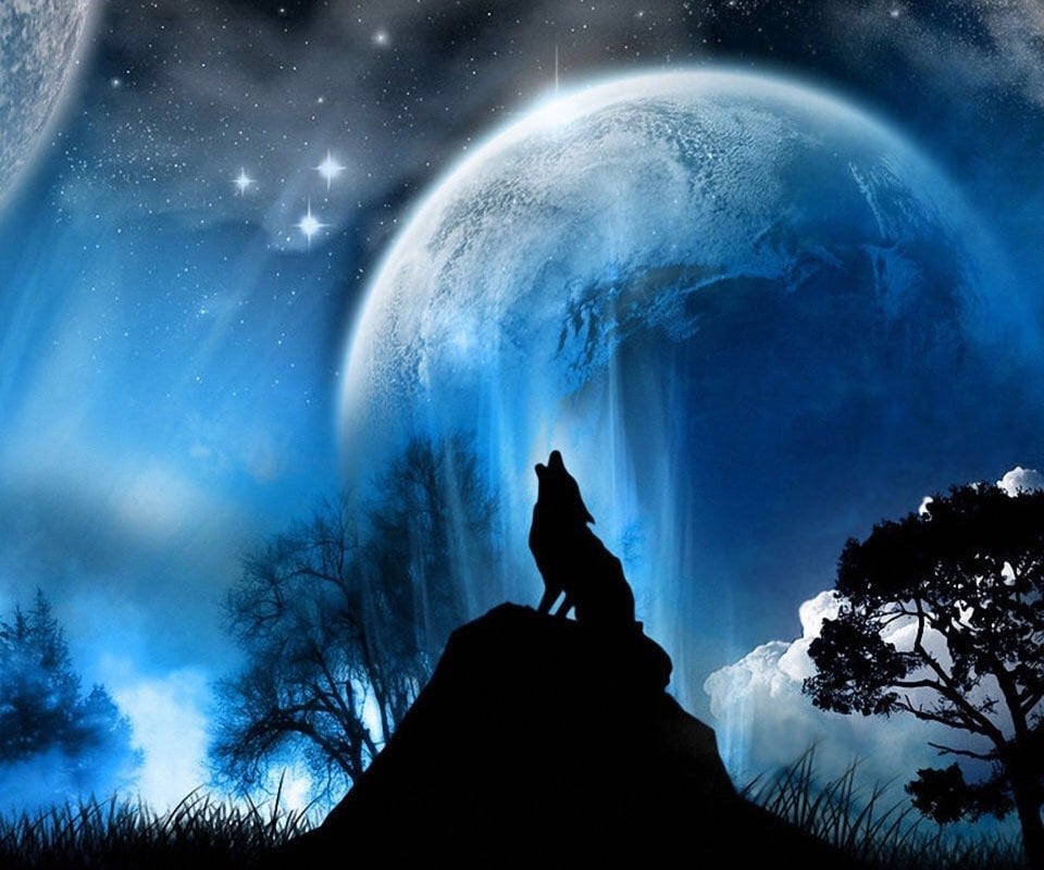 محمد الحربي