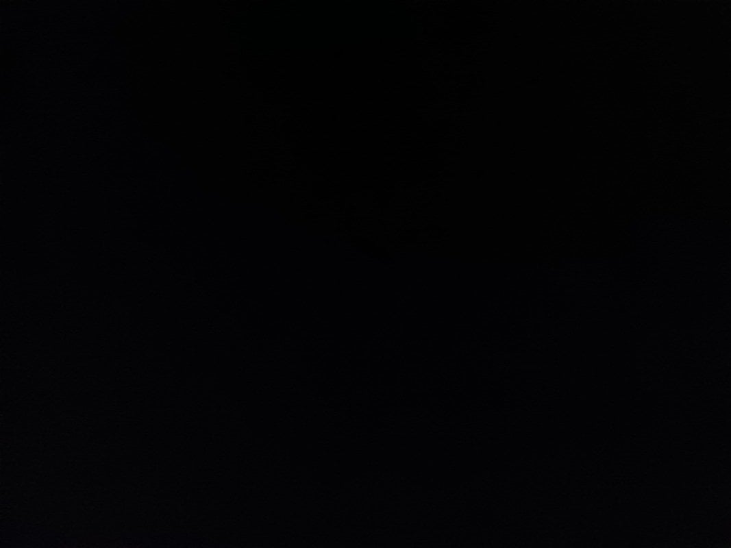 مشاري المالكي