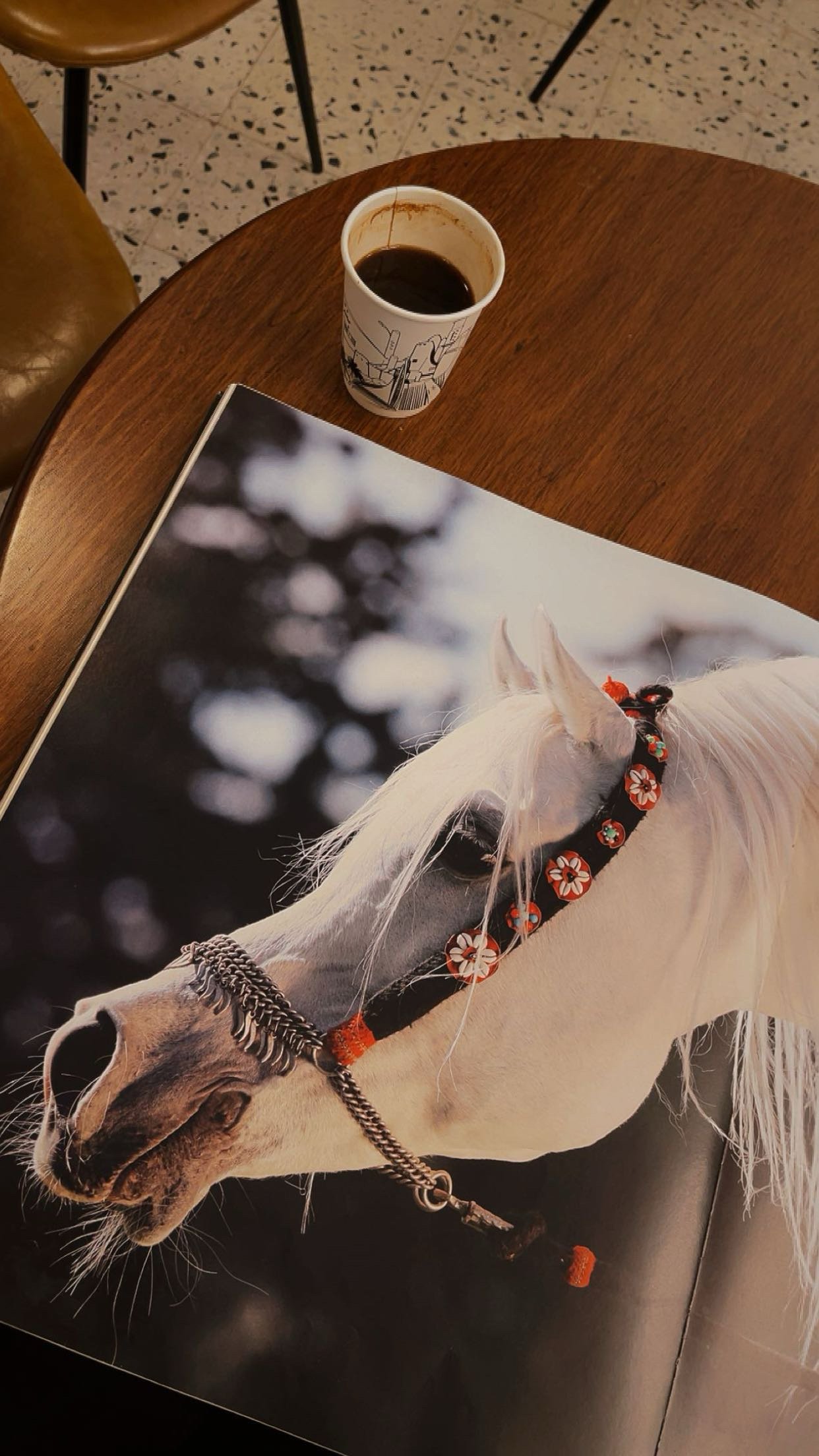 هياء القاسمي