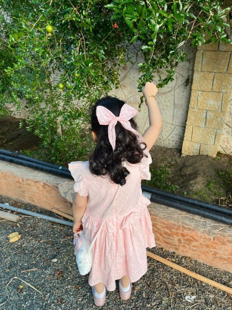 منصور عبدالله