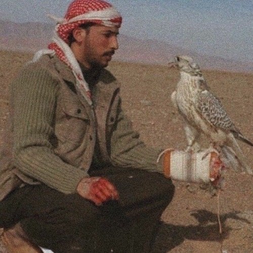 Mohamed Fahd