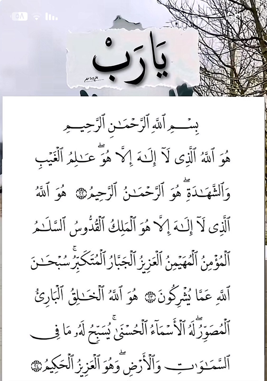 لطفي الزهراني .