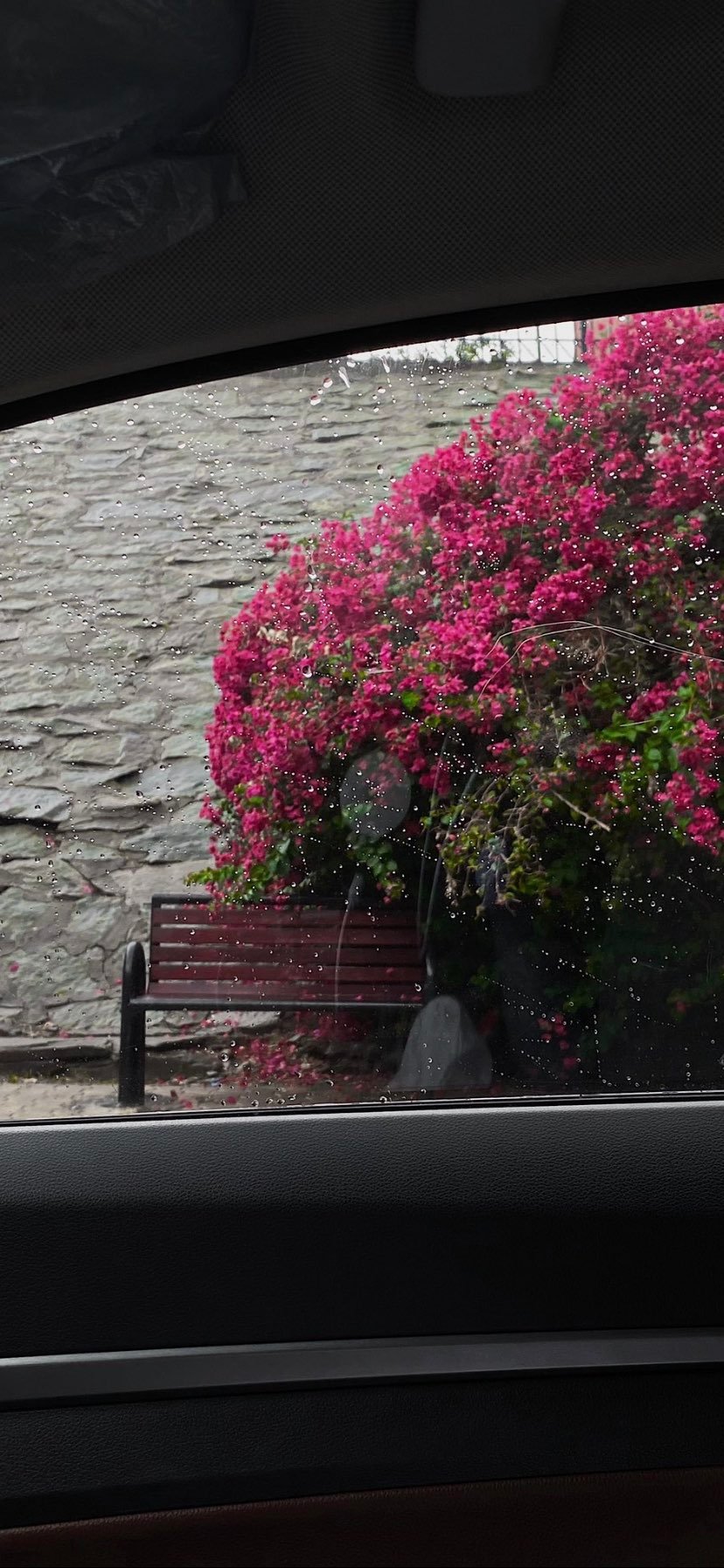 شهد المطيري