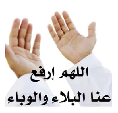 عزيزه الحسيني الحسيني