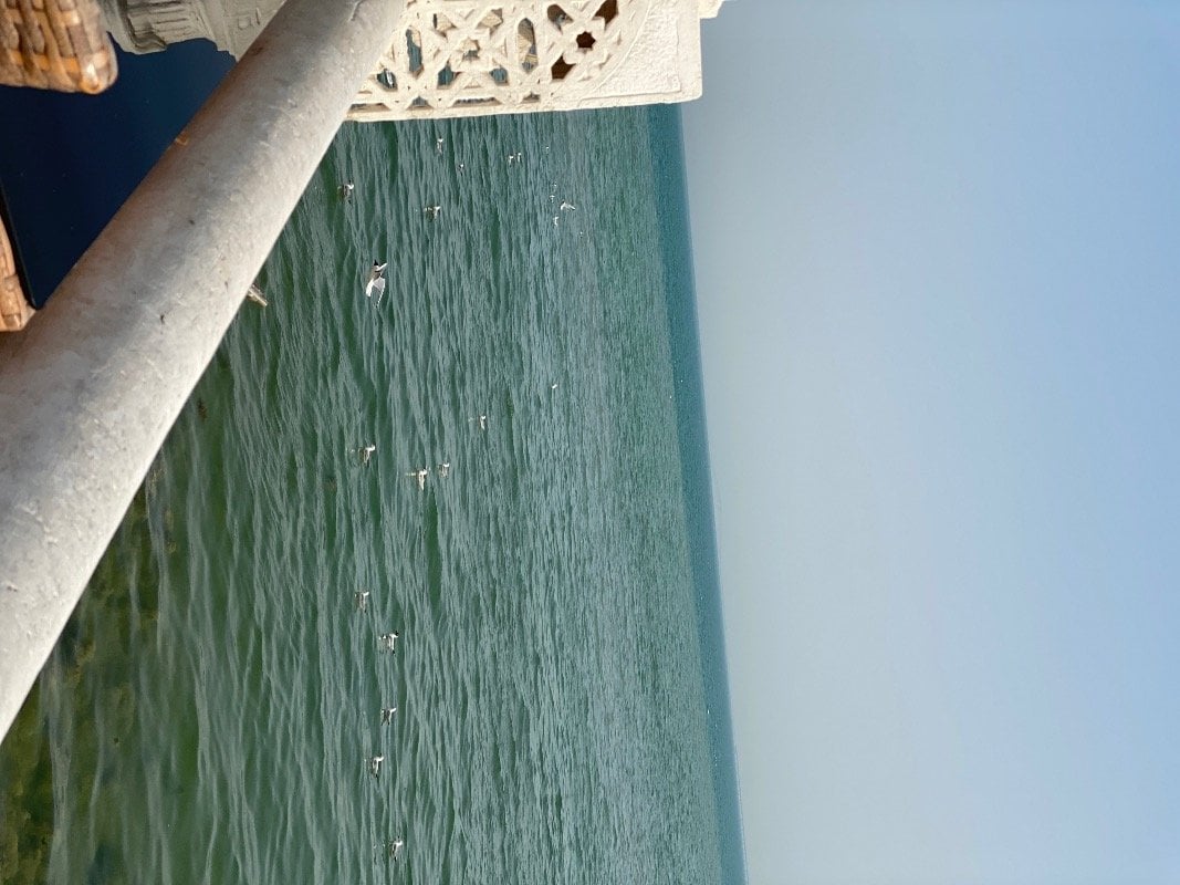 Wessam Khaled