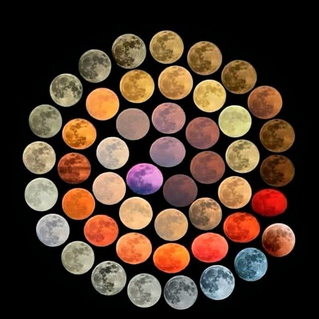 فيصل النجار