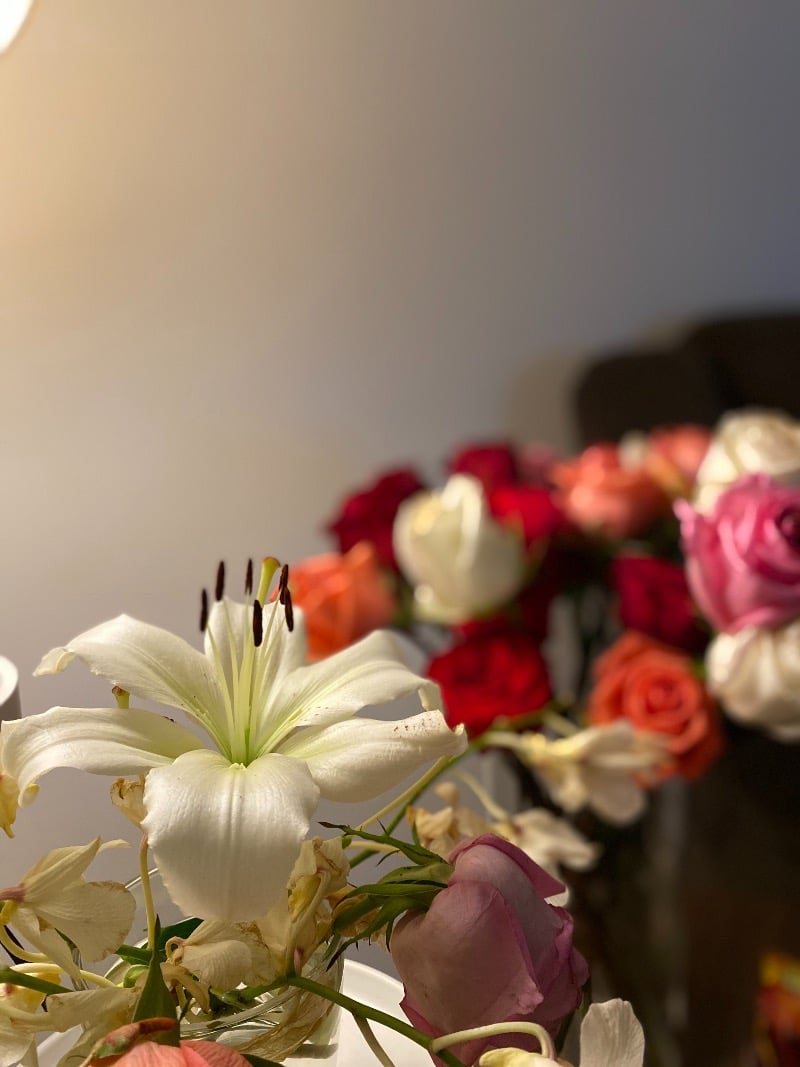 هدوش الهدوش