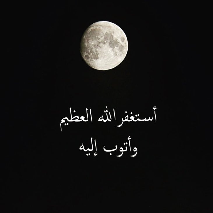 وليد البرعي