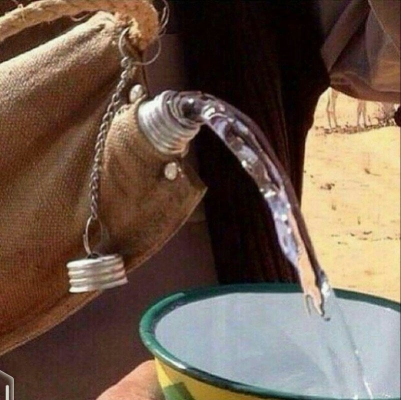 مساعد البيشي