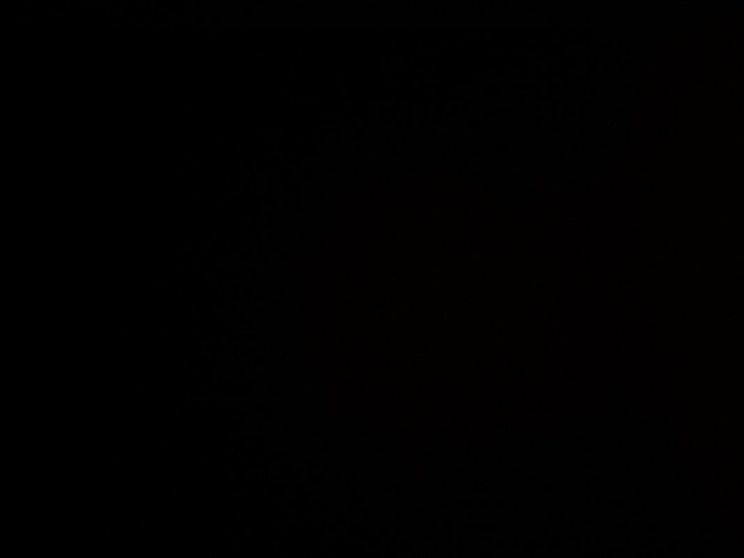 فاطمه القحطاني