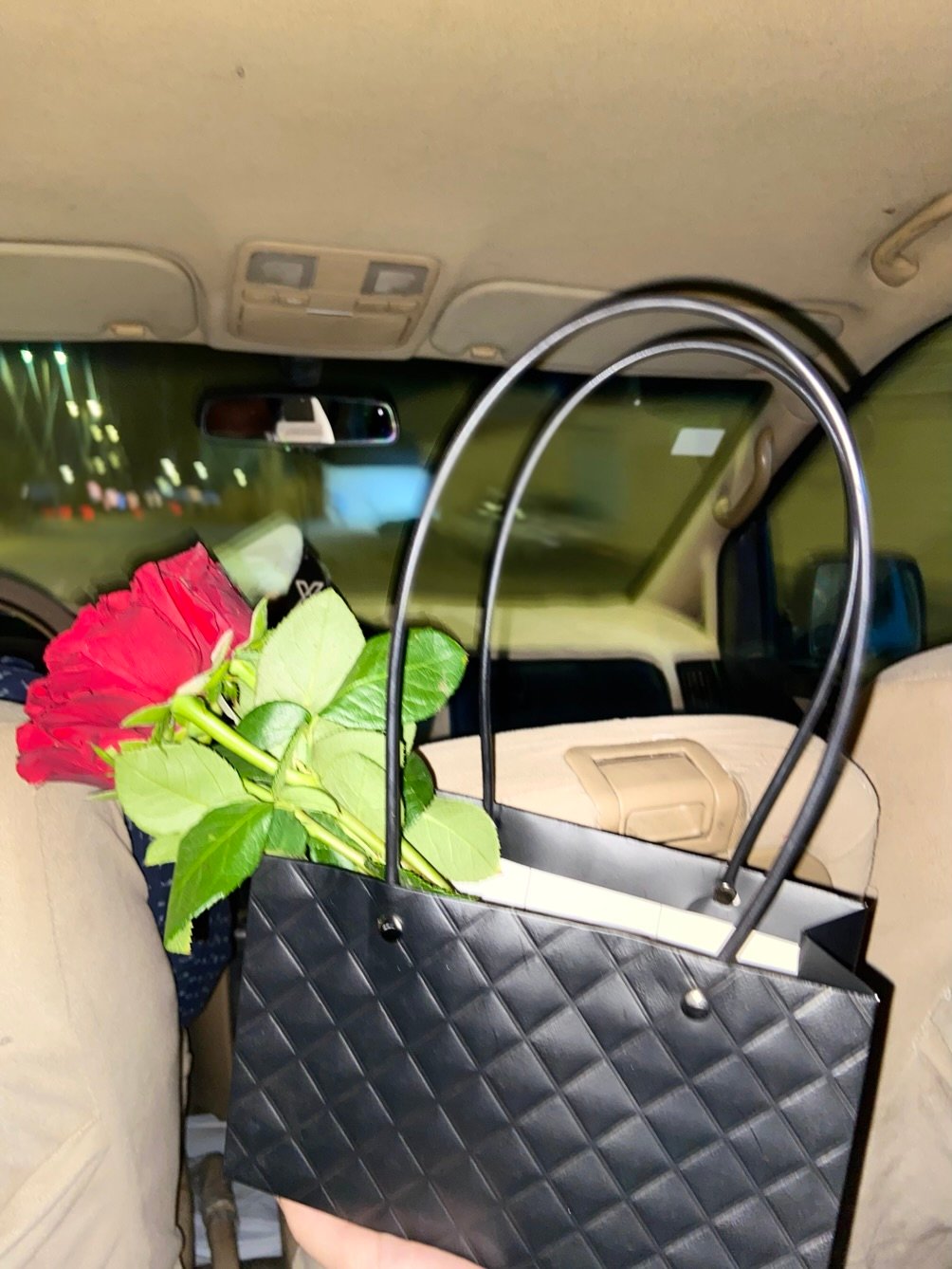 دلال الشمري