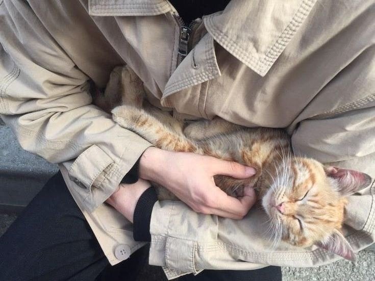 منى الزهراني